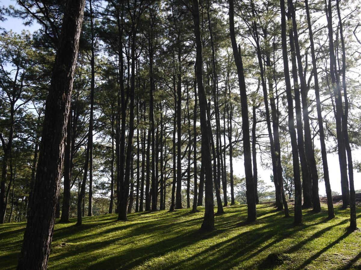 Azalea Residences Baguio Baguio City Eksteriør bilde
